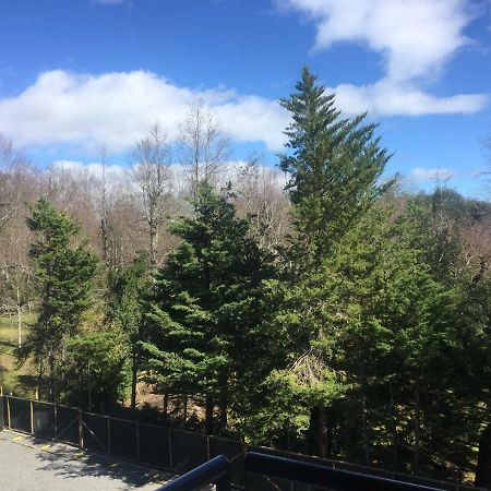 Condominio Robles Camino Al Volcan プコン エクステリア 写真